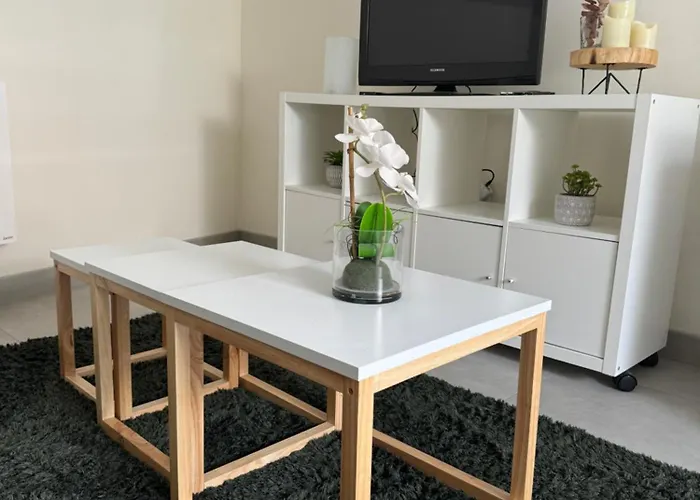 Apartment Agreable Proche Chu