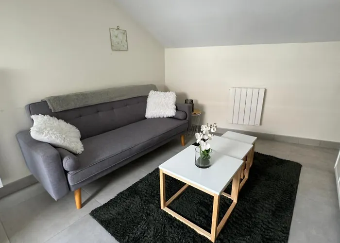 Apartment Agreable Proche Chu *